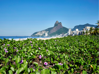 imagem-iniciativa